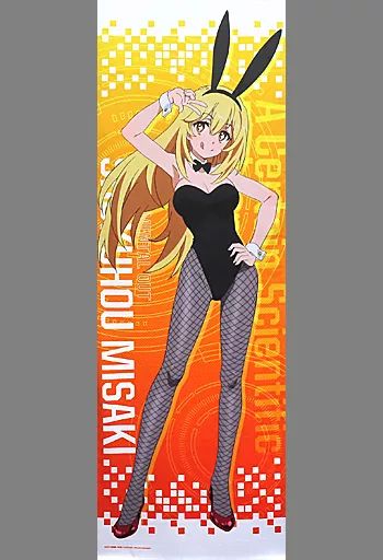 【中古】タペストリー 食蜂操祈 ロングタペストリー 「どこプラ×くじメイト とある科学の超電磁砲T オンラインくじ」 A-2賞
