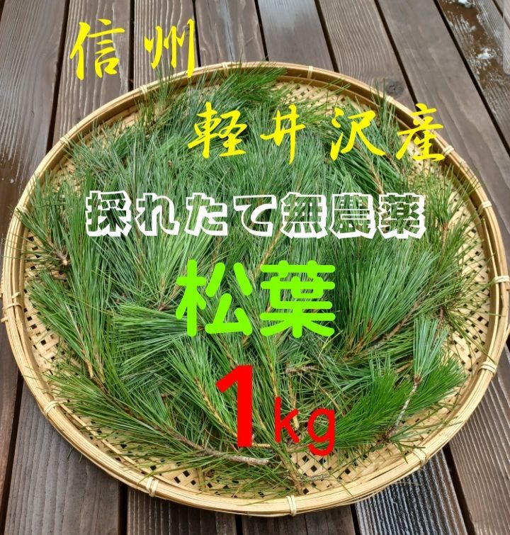 採れたて新鮮♪︎軽井沢産 天然農薬不使用 赤松 松葉 １kg 松の葉 野菜