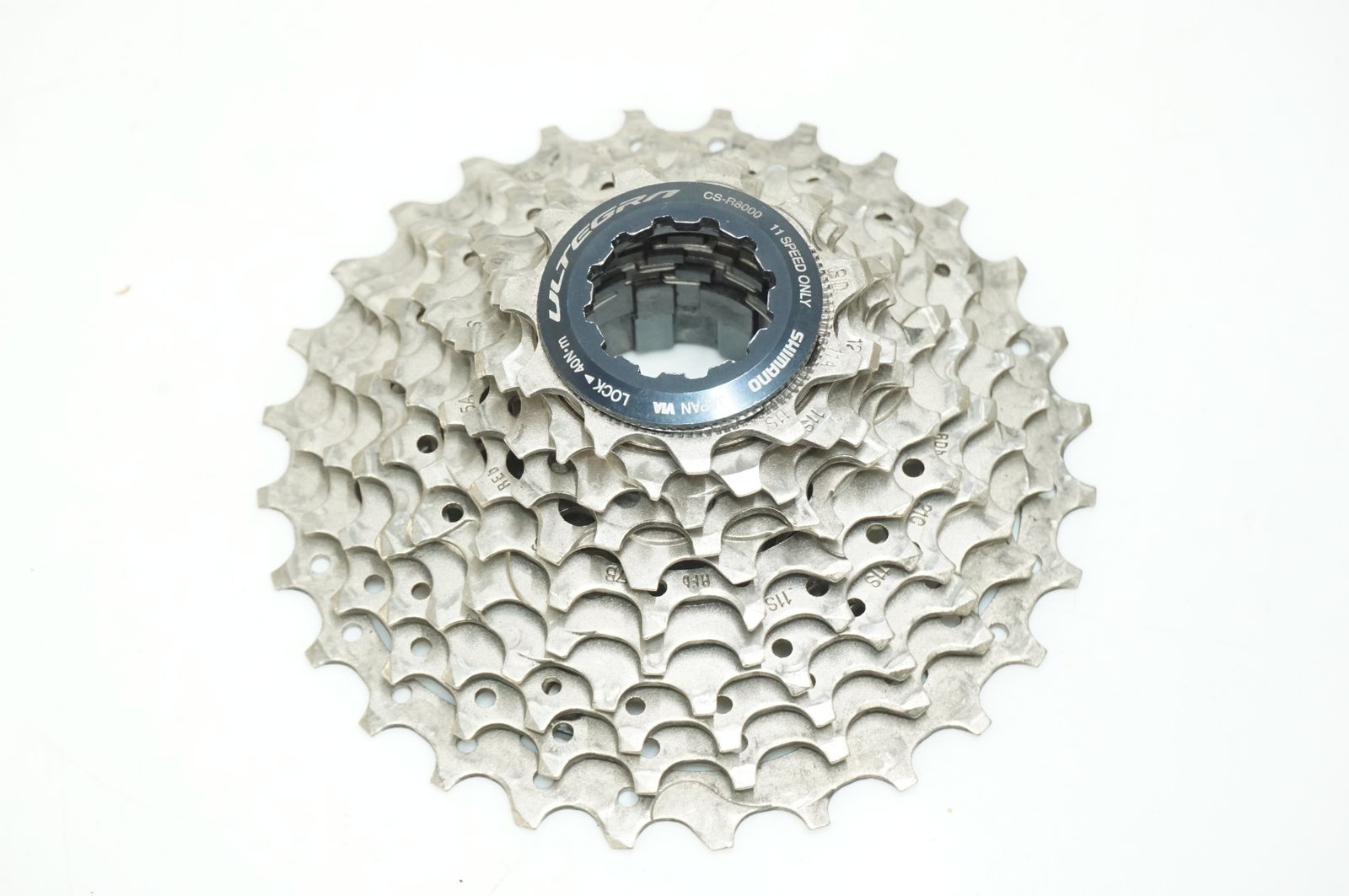 大型 オーガスタ 美形 3株仕立て 観葉植物 カッシーナ 京都人様専用