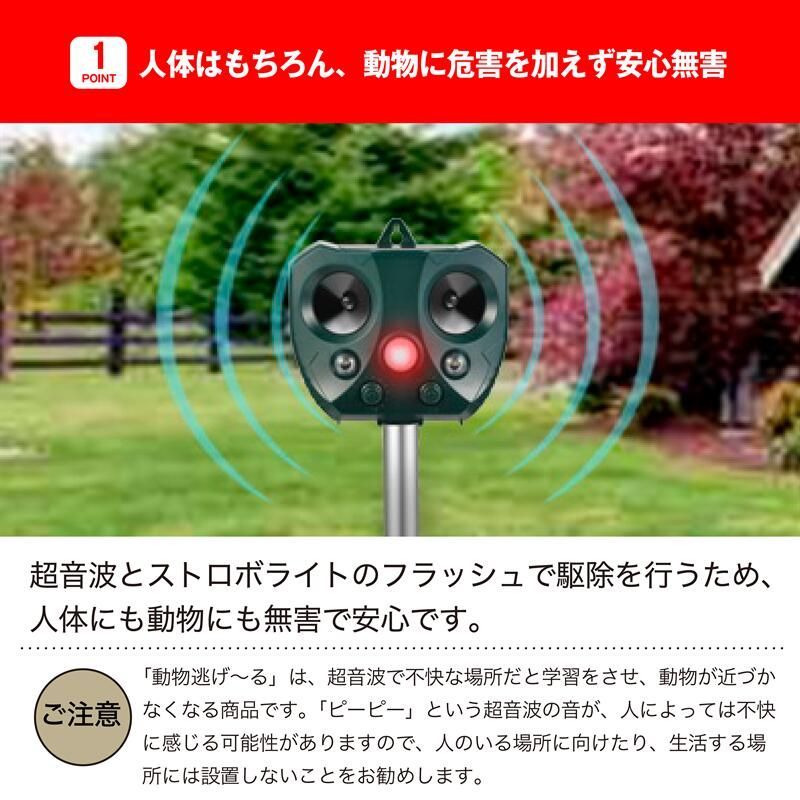 超音波と強力フラッシュライト