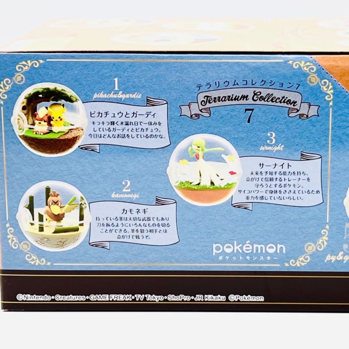ポケモン テラリウムコレクション 1 ポケットモンスター テラリウムコレクション：商品案内 | 株式