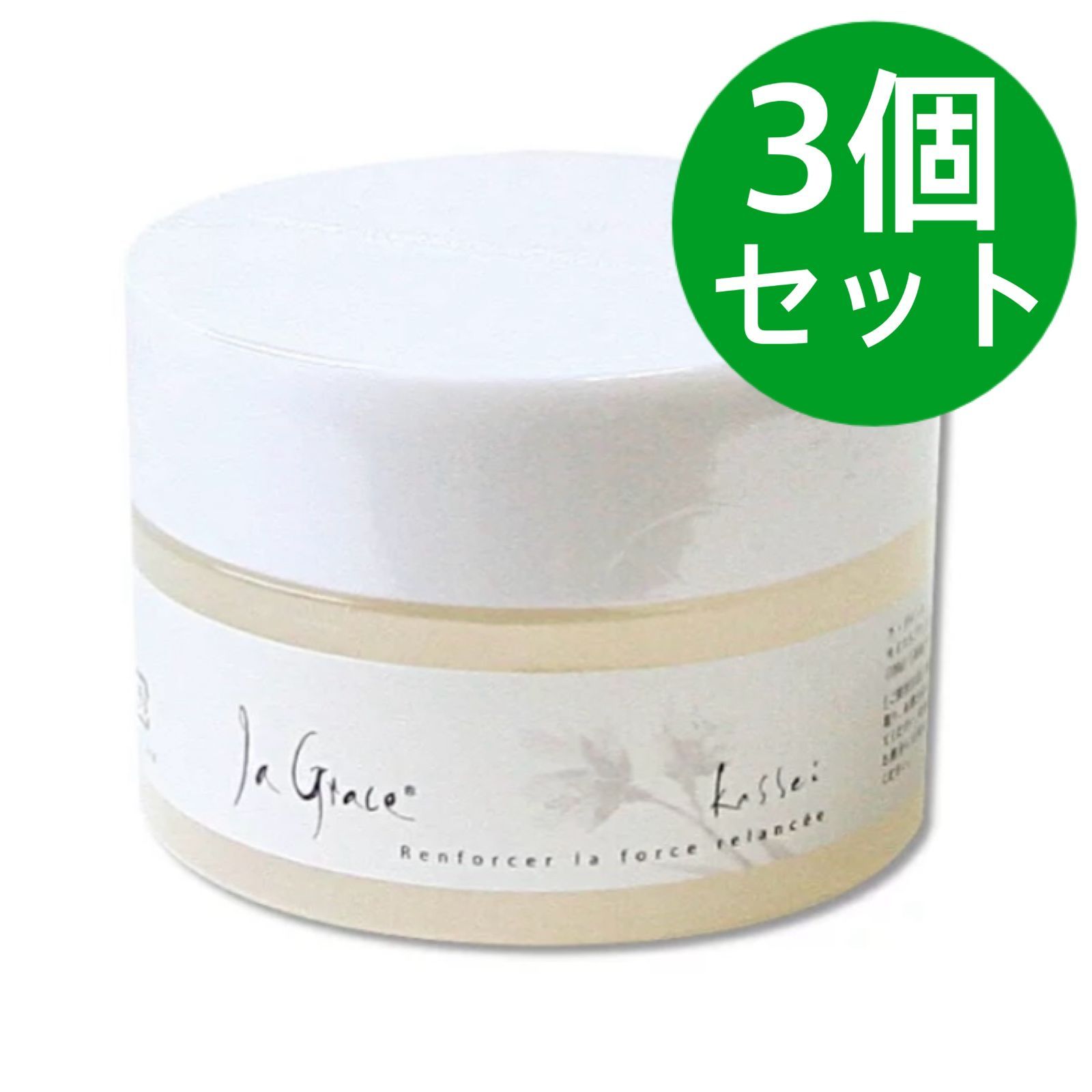 初期ストア哲学における非物体的なものの理論 (シリーズ・古典転生 1