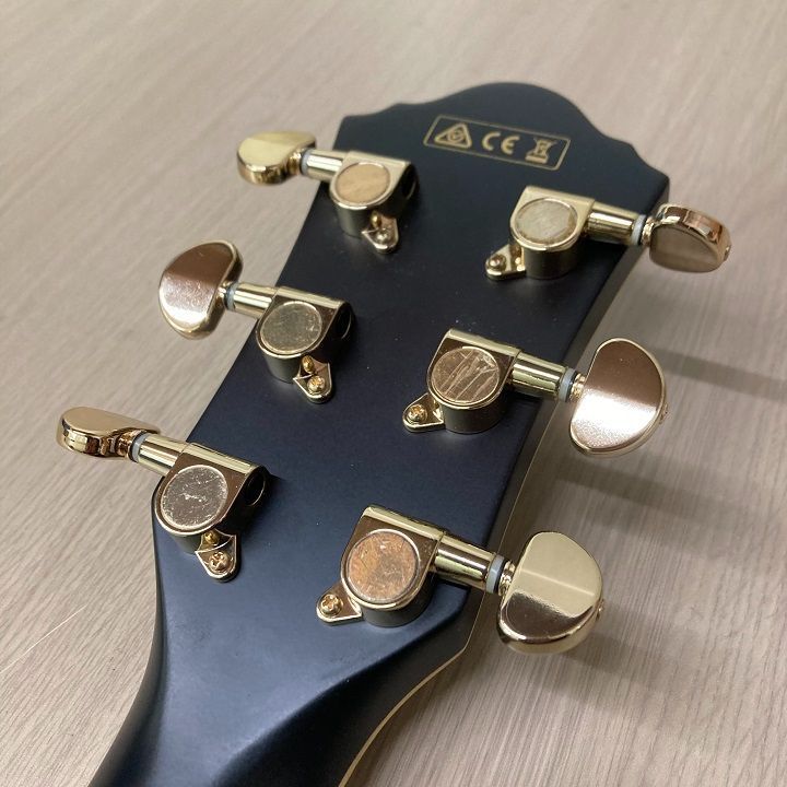 IBANEZ AEG24II アイバニーズ Ibanez - Ibanez AEG24II THS MODの通販 by Zakis｜アイバニーズ
