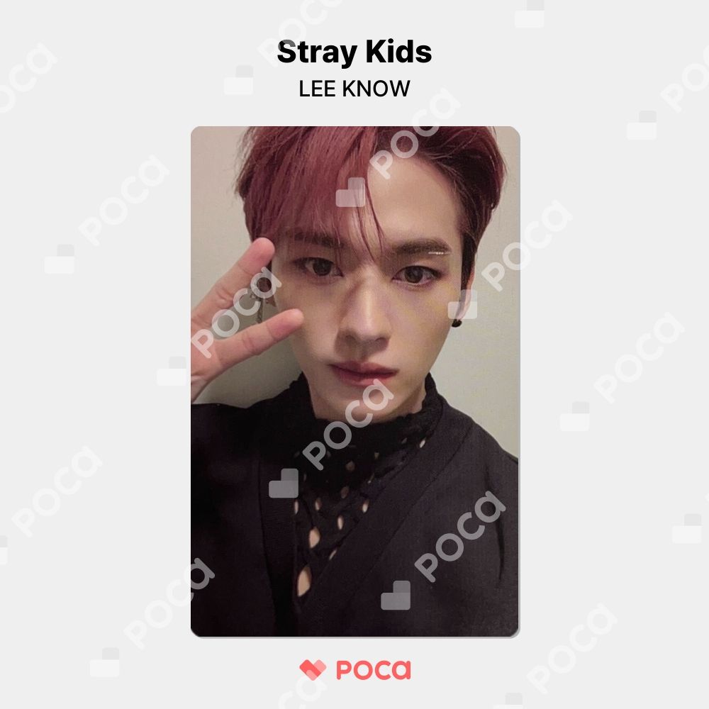 Stray Kids - straykids スキズ ODDINARY ラキドロ トレカ リノ Stray Kids - straykids スキズ ODDINARY ラキドロ トレカ リノ