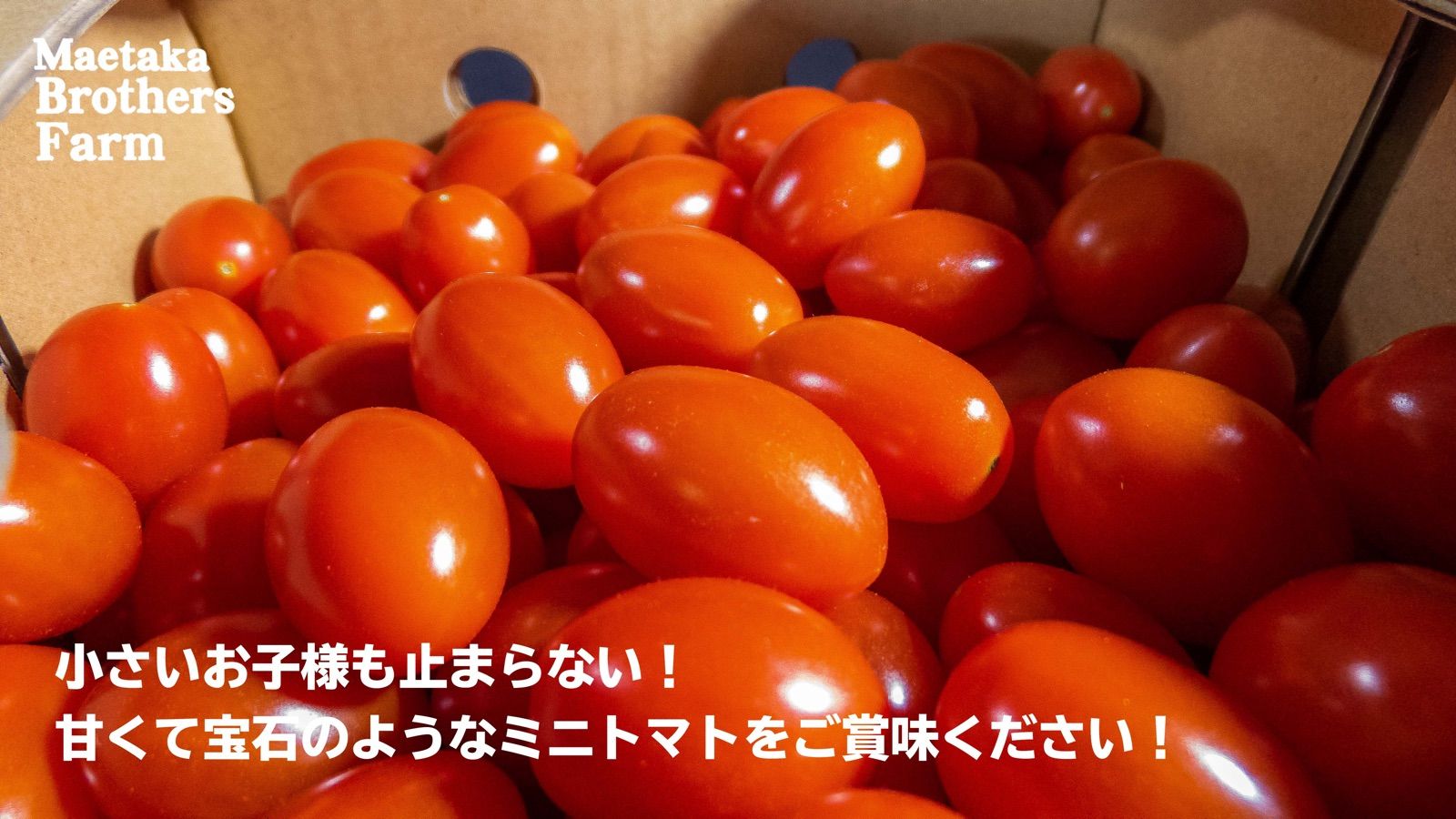 スイートミニトマト８００g✖️２ケース　お得セット！！！　❤️心の実スイート❤️