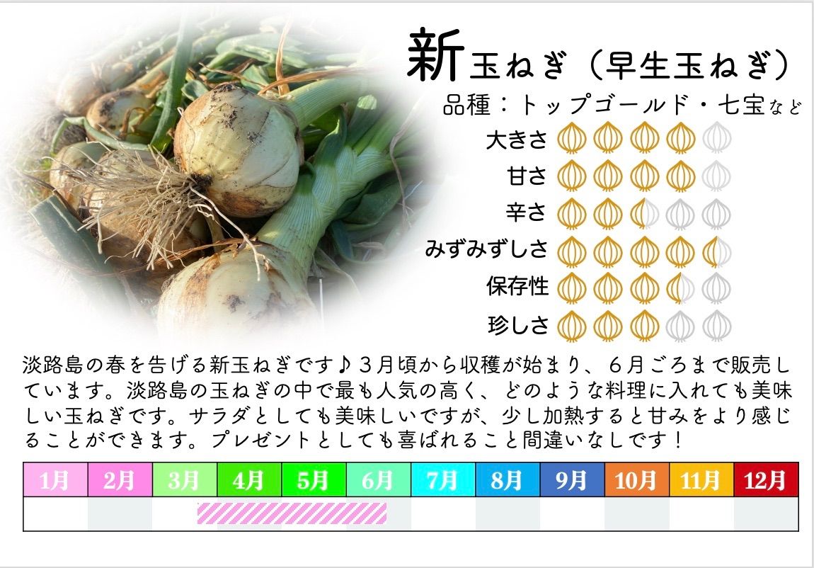 大豊作につき特別価格でご提供‼️  《兵庫安心ブランド取得》産地