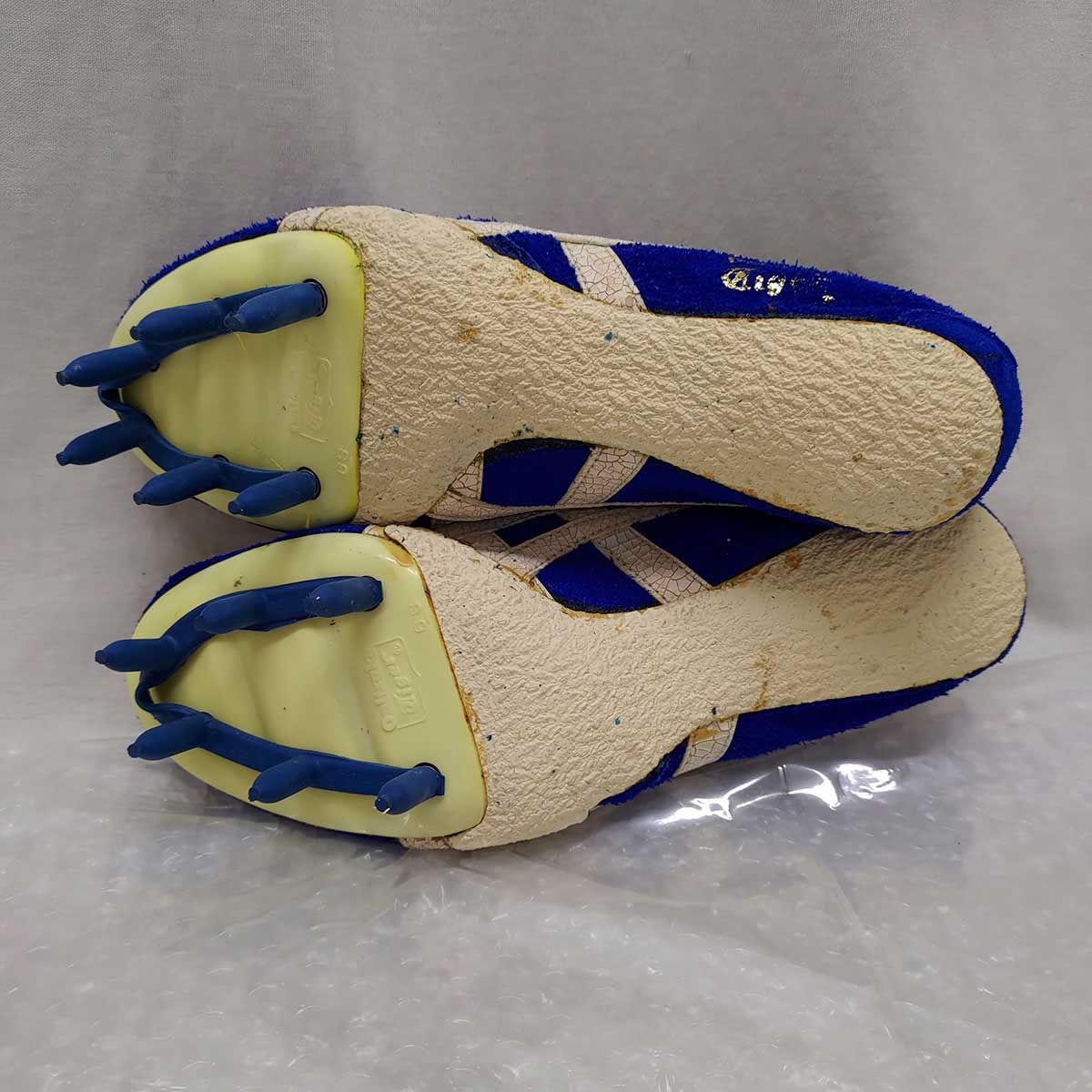 オニツカタイガースパイク(25.0) Onitsuka Tiger オニツカタイガー DS-SK 陸上スパイク サイズ