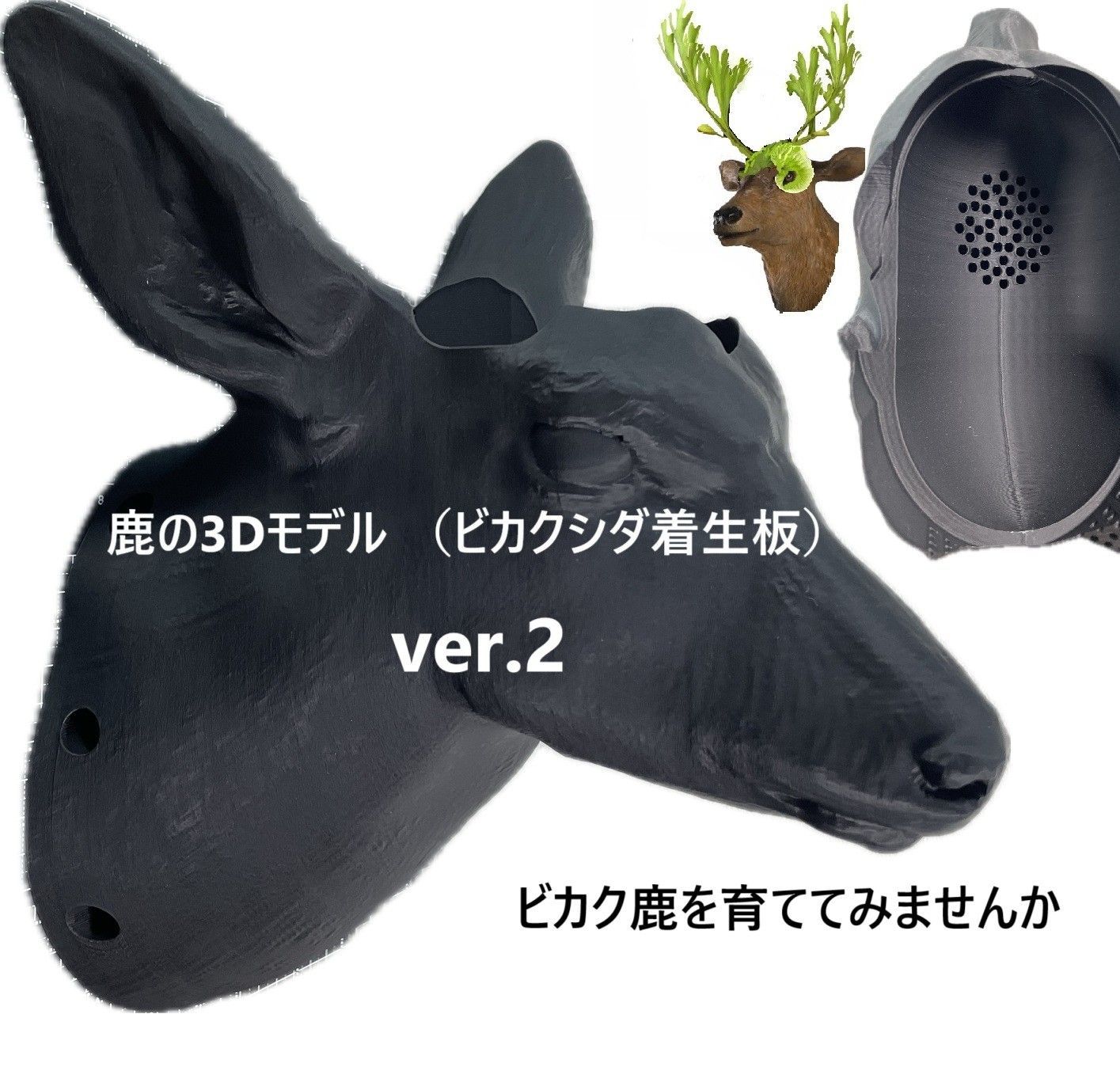 鹿の3Dモデル ver.2（ビカクシダ着生板）210×280×235 Deer03_210_BK