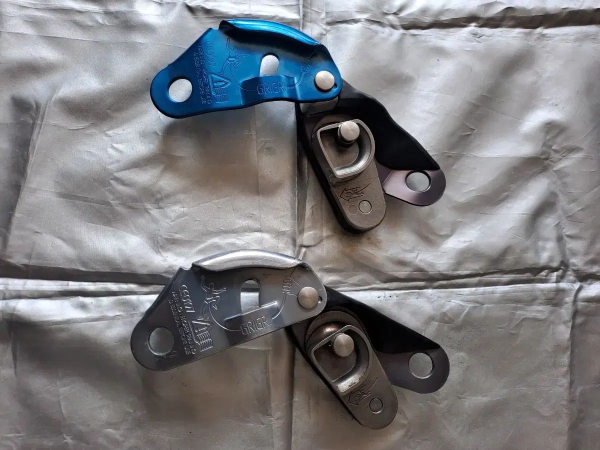 ベイリー ディセンダー