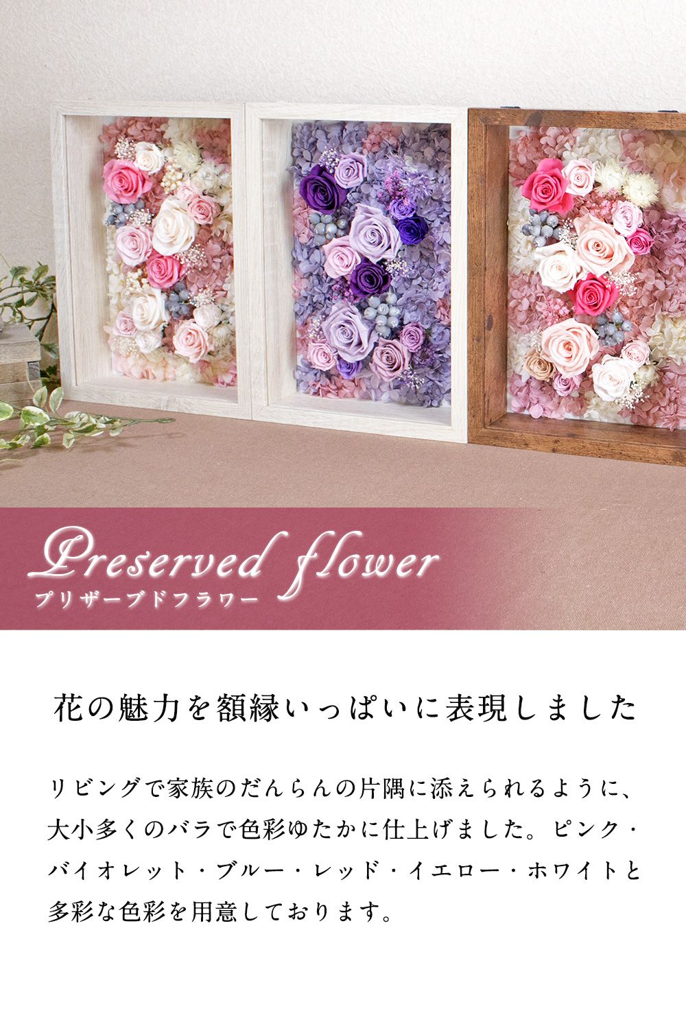 絵画のように見せる花 プリザーブドフラワー フレーム 額縁に入ったお花 RED 楽天市場】プリザーブドフラワー 額入り 大きめ 額縁 A4サイズ