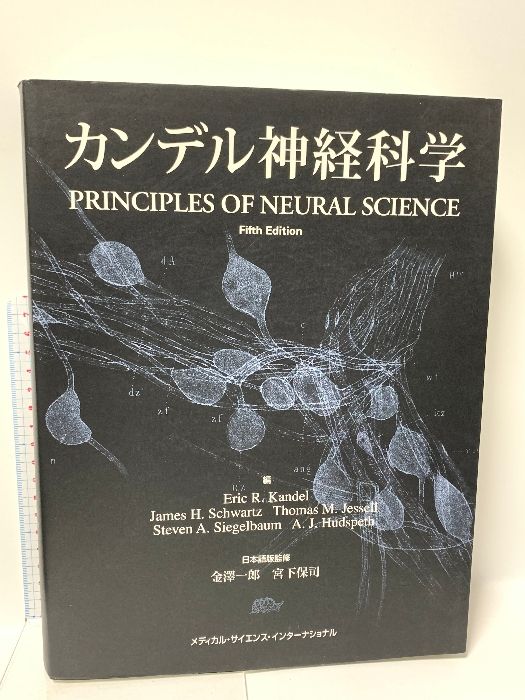 カンデル神経科学 昨日、出来上がった『カンデル神経科学 第2版