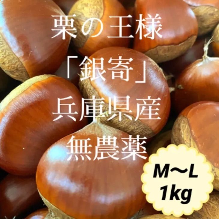 生栗 1Kg 無農薬 長野県