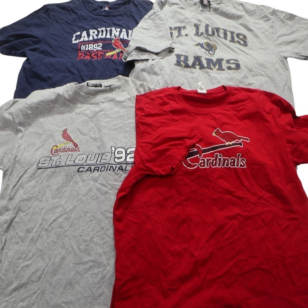 プロチーム 半袖Tシャツ