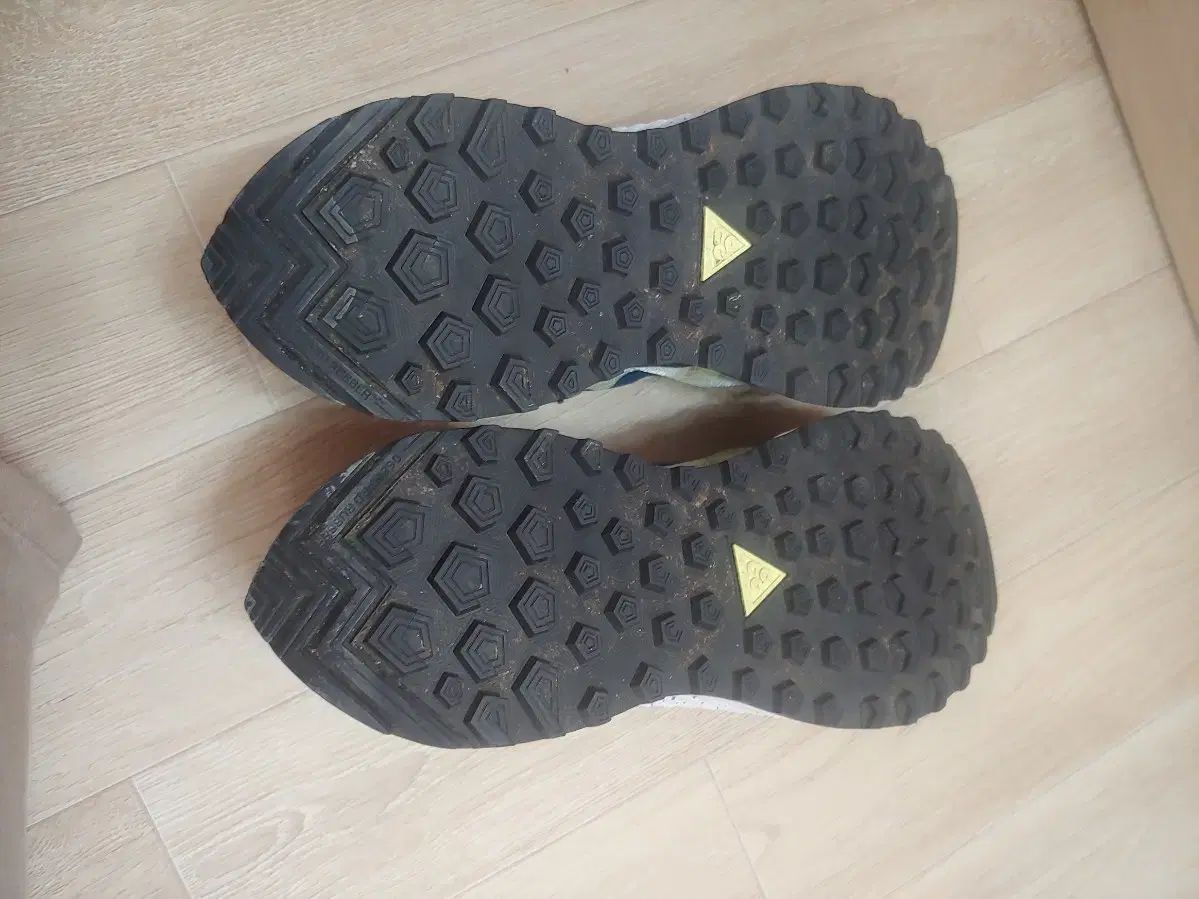 ナイキ acg