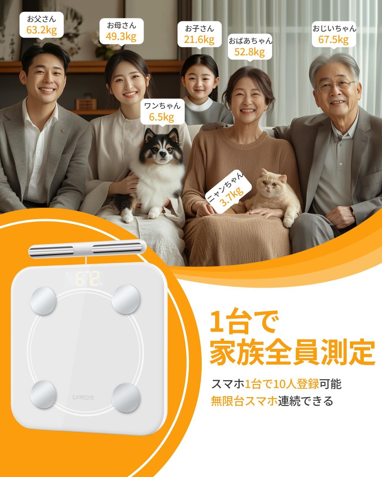 BMI 筋肉量