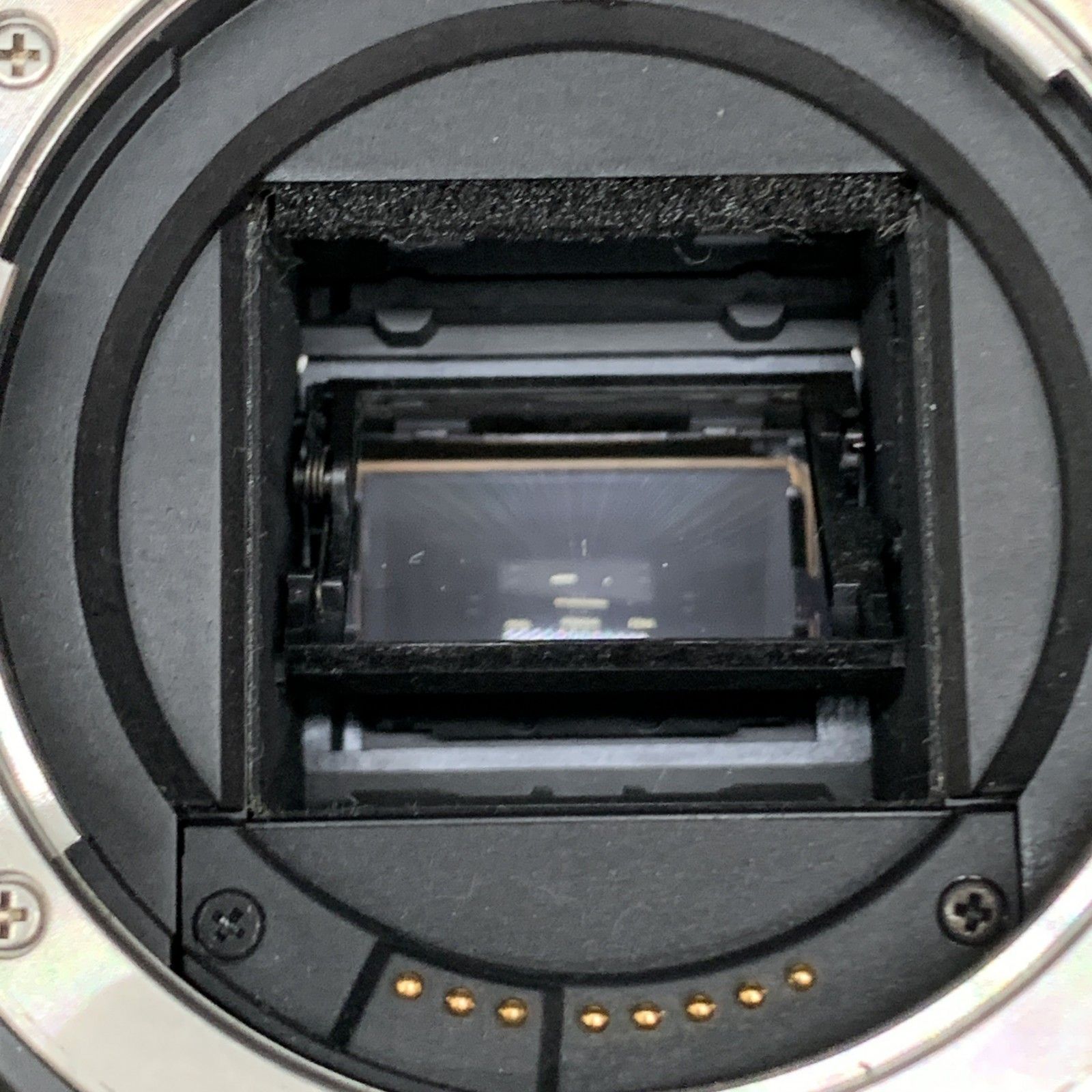 デジタル一眼レフカメラ