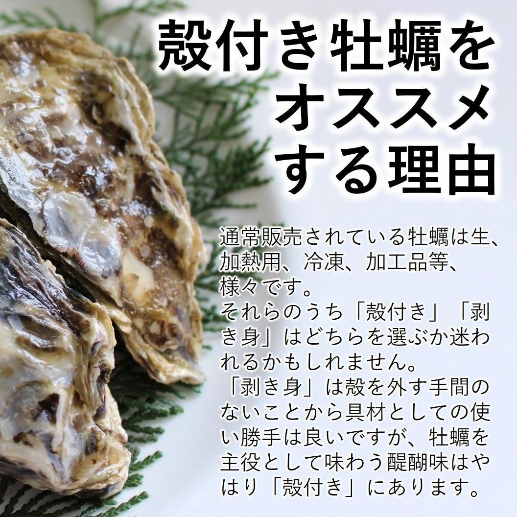 沖縄対応 生食OK 5kg 三陸産 殻付き生牡蠣 亜鉛 鉄分 ミネラル豊富-2