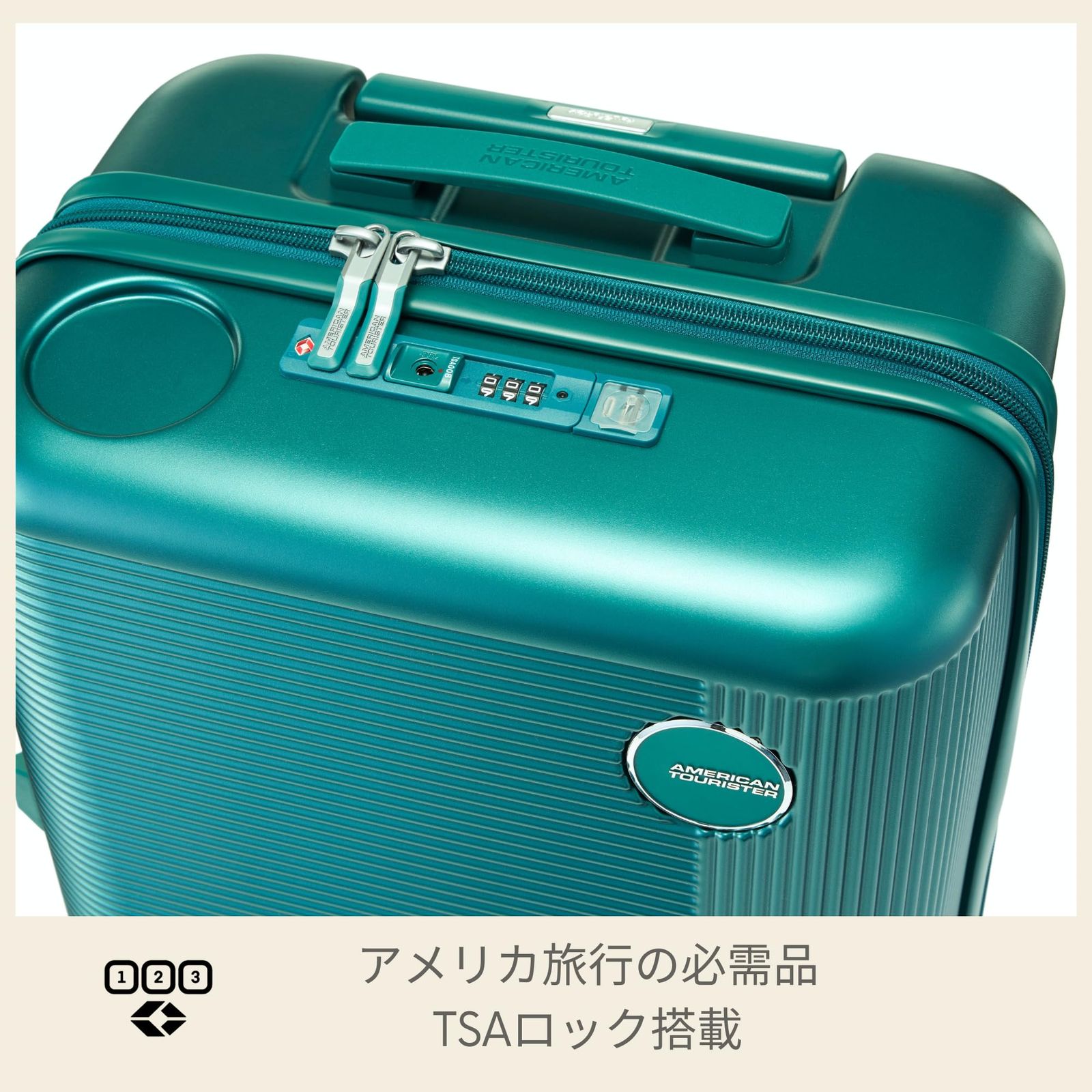 中型 4-6泊