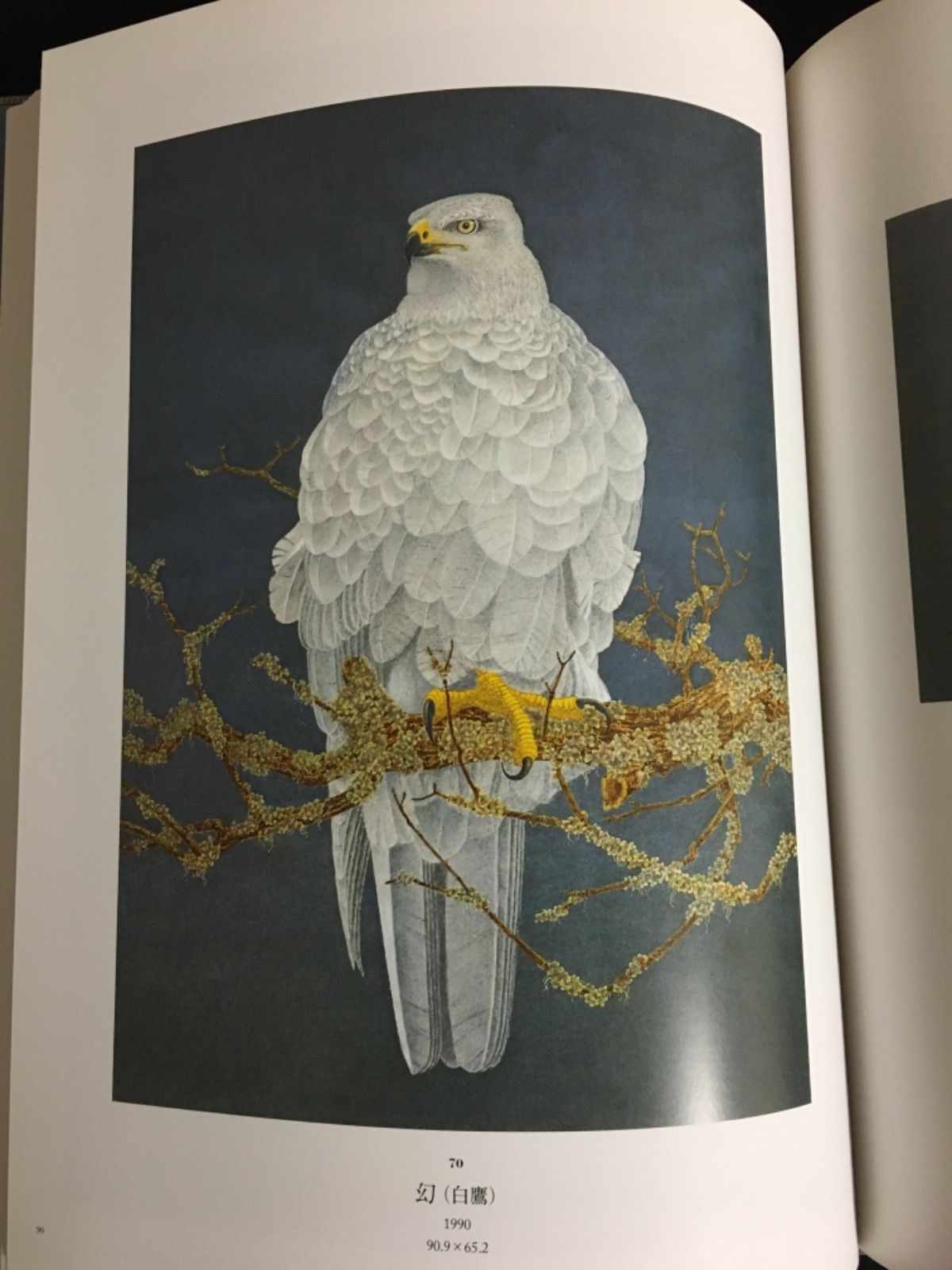 【中古】 塚原哲夫画集/求龍堂/塚原哲夫 中古】 塚原哲夫画集/求龍堂/塚原哲夫 中古】 塚原哲夫画集/求龍堂/