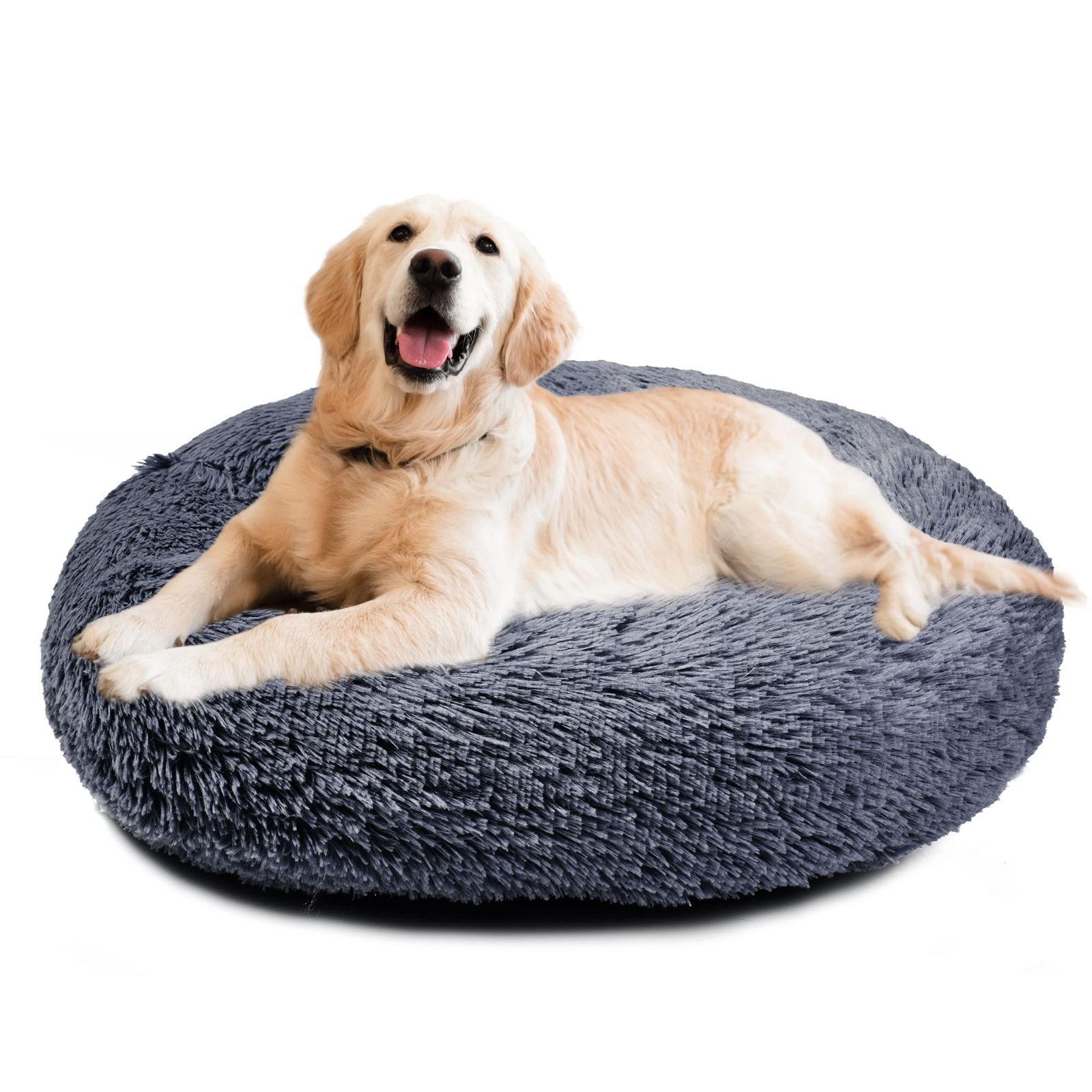 トゥルース教教祖 奥原基玄先生御法話集