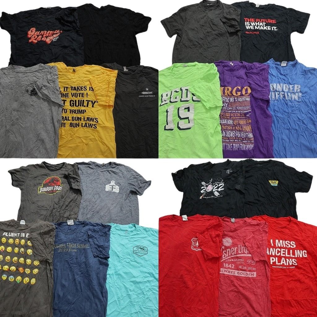古着卸 まとめ売り カラーmix プリント 半袖Tシャツ 20枚セット (メンズ L ) ジュラシックパーク 無地系 英文字プリント MU6367