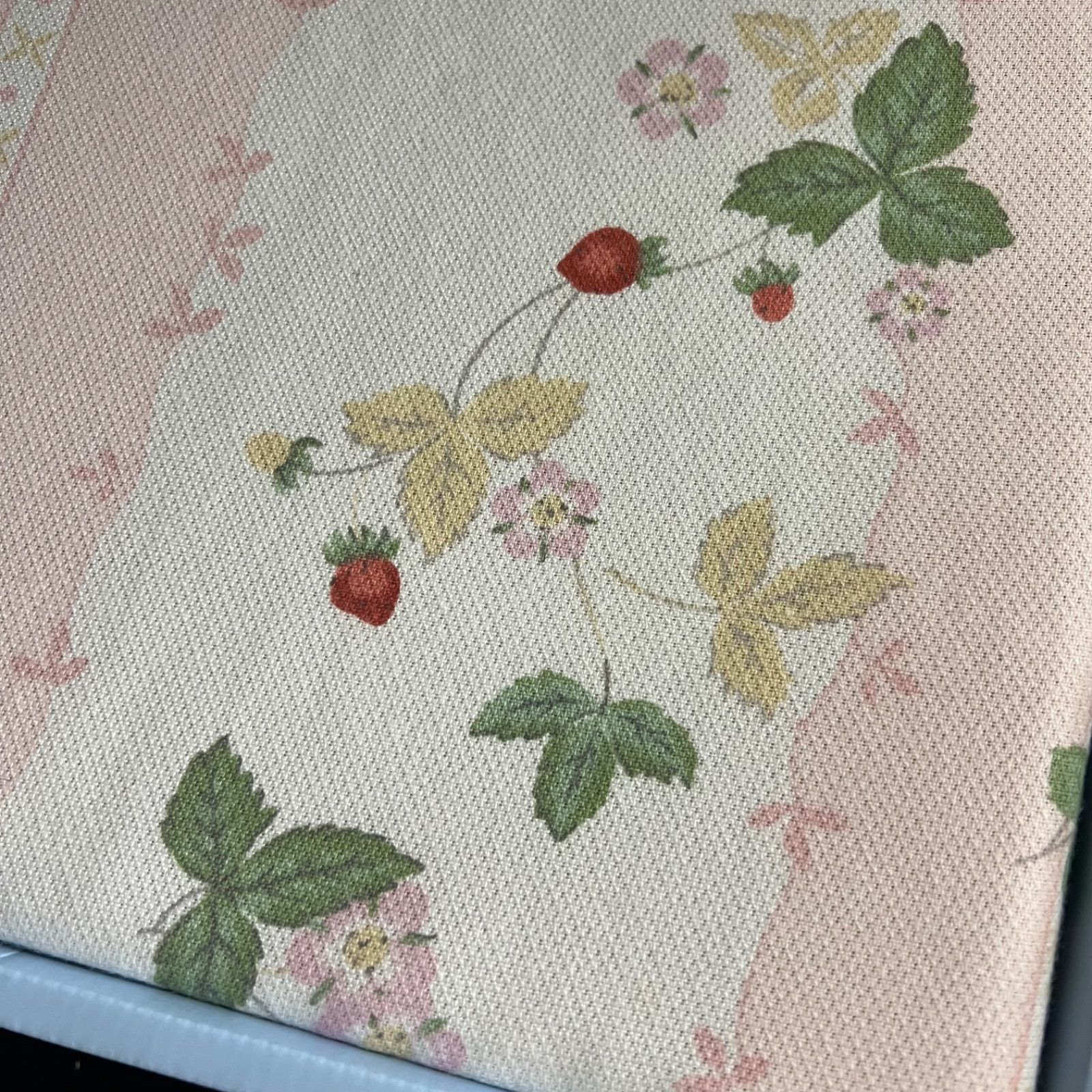 ワイルドストロベリー 綿毛布