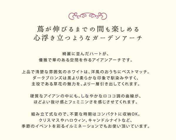アイアンアーチ おしゃれ ホワイト ダークブロンズ ハート コンパクト収納 幅114.5cm 奥行38cm 高さ233cm イルミネーションにも便利 門 鉄製 ハート 花 フェンス ガーデンアーチ 小型 北欧 ガーデニング 屋外 ツタ 蔦 エントランス エクス