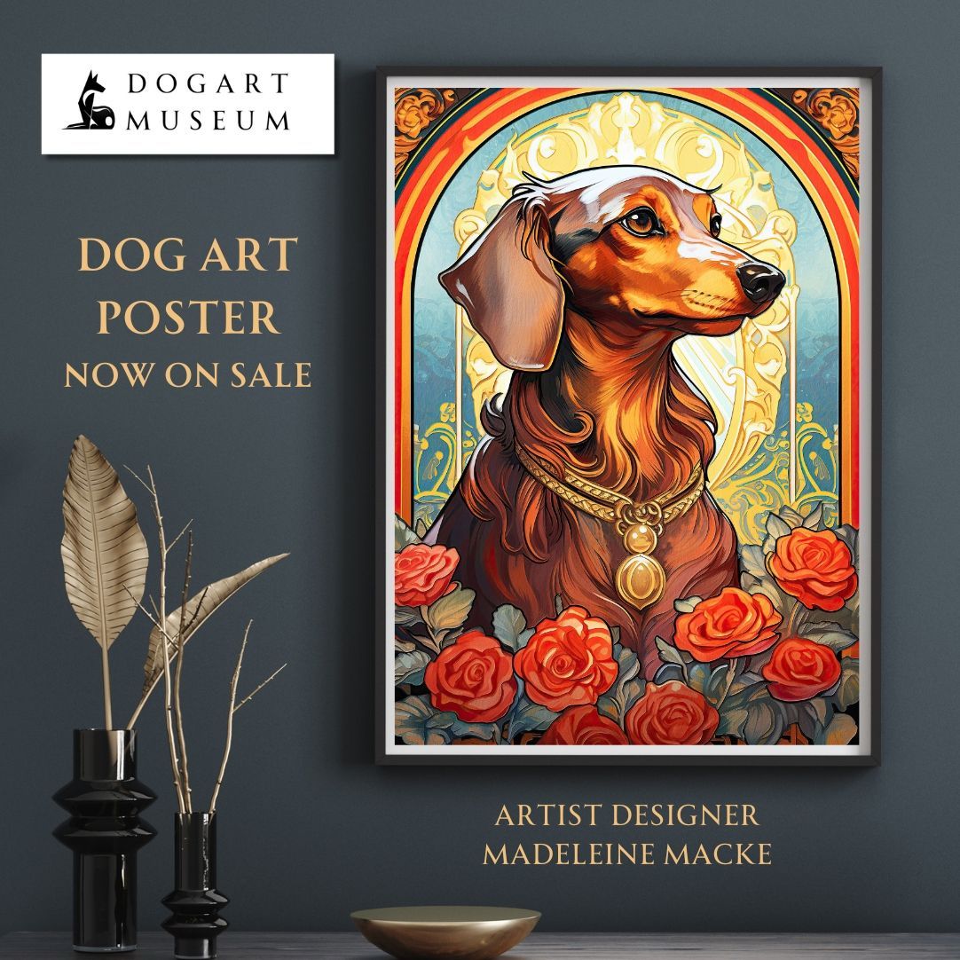 蝶々標本 23頭 木製額(ガラス) 約30cm x 43cm 蝶 標本 部屋