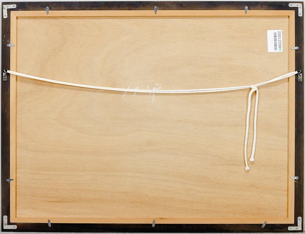 古沢岩美、厳選、大判、希少画集・額装画、限定800部、人気作品