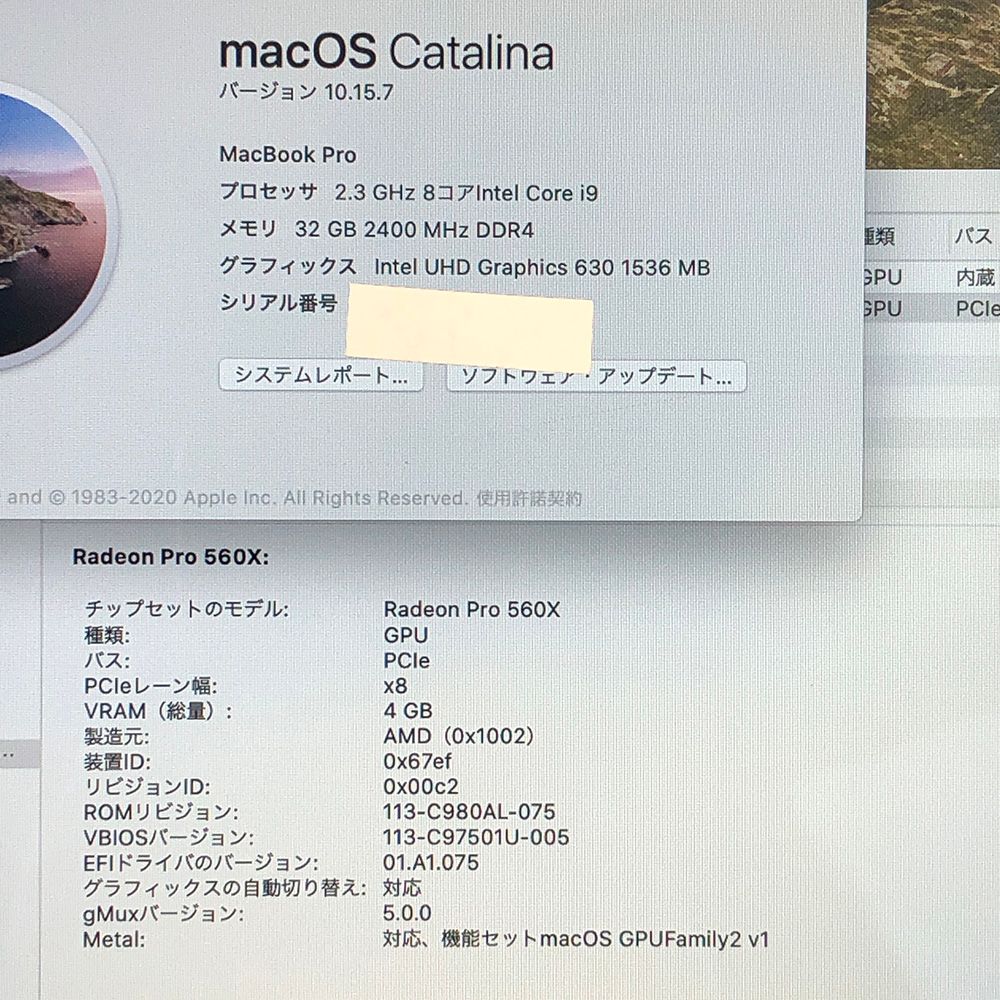 ◇ジャンク品・本体のみ◇Apple MacBook Pro (15インチ 2019
