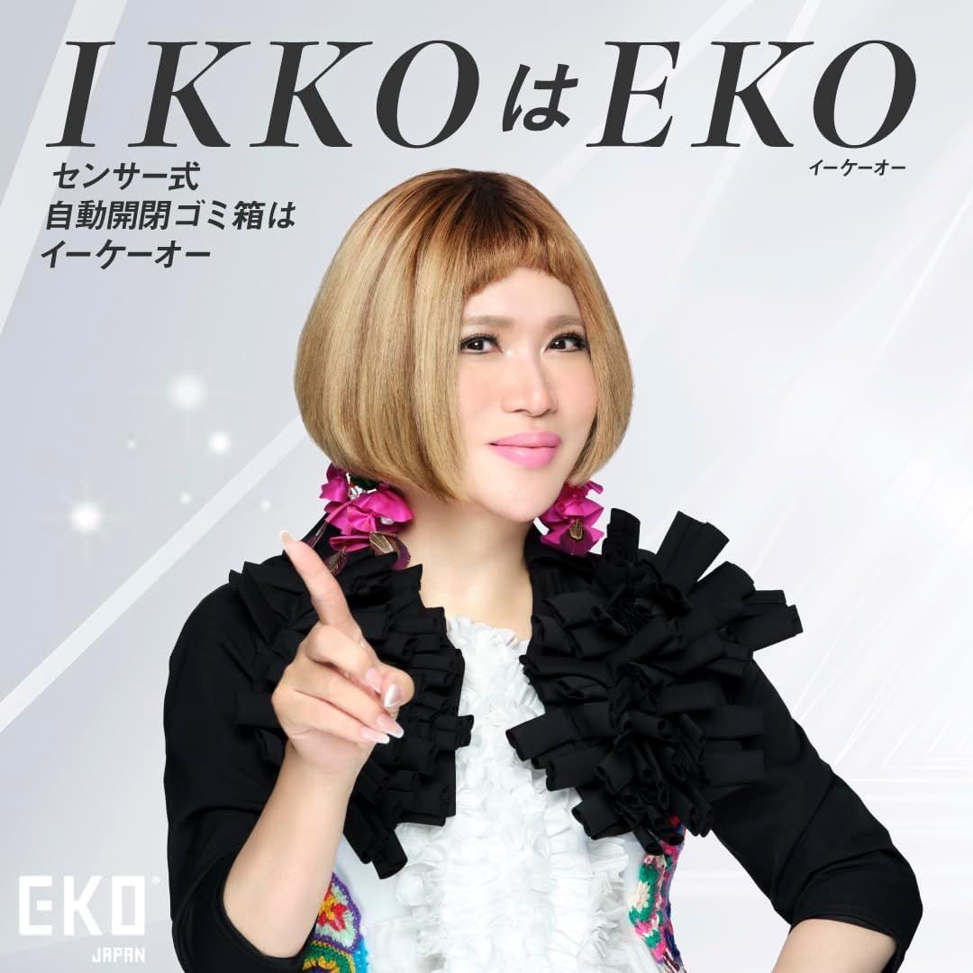 シルバー 45L ホライゾンセンサービン ふた付き 自動開閉 インナーボックス無し ゴミ箱 EK9262MT-45L EKO