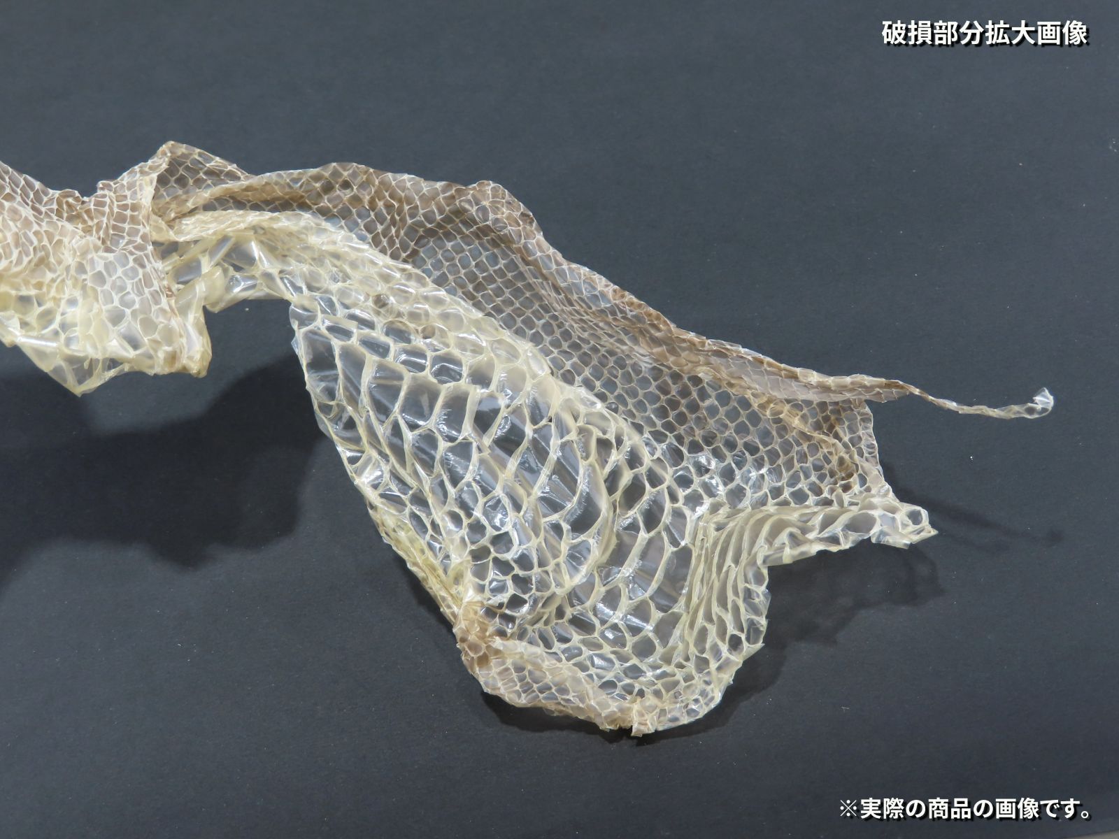 蛇の抜け殻 縁起物 金運 約1m14cm&13cm&10cm HC-8 - メルカリ