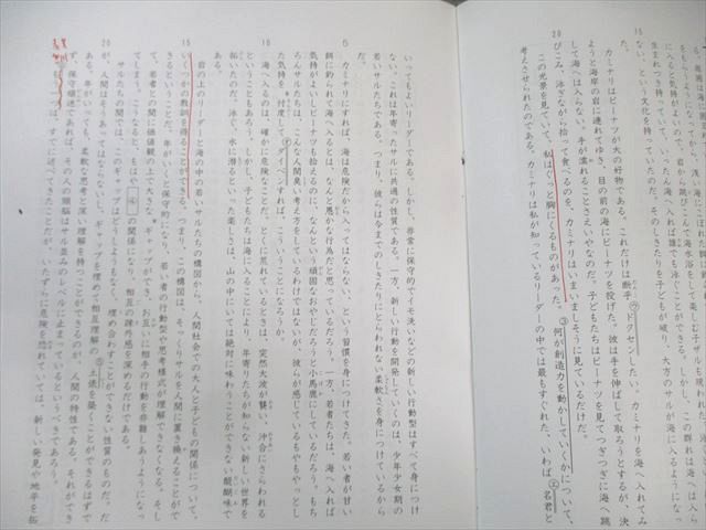 通年 全14回分フルセット