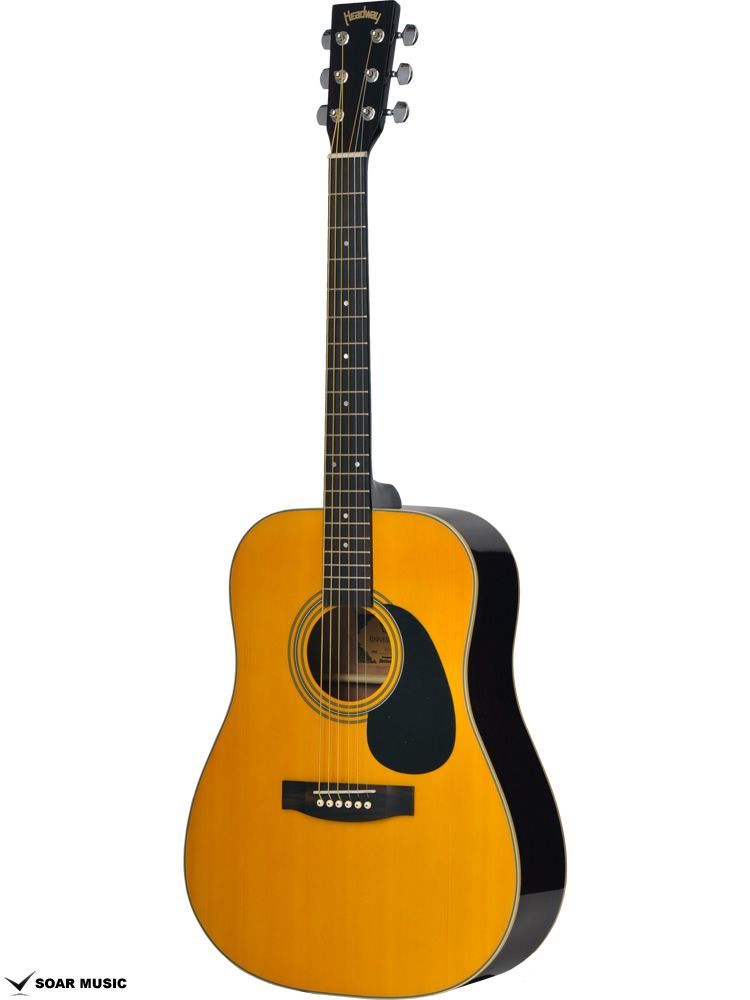 アコースティックギター（HD-45S ANA） 初心者セット - 通販 - csa