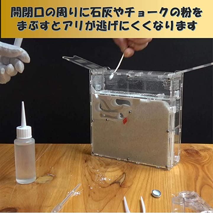 EXDUCT アリの巣観察キット 自由研究 昆虫採集セット 飼育ケース