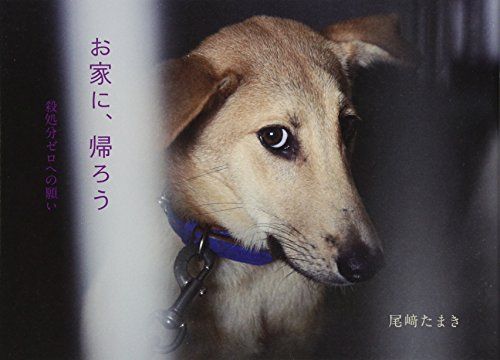 お家に 帰ろう~殺処分ゼロの願い 尾崎たまき