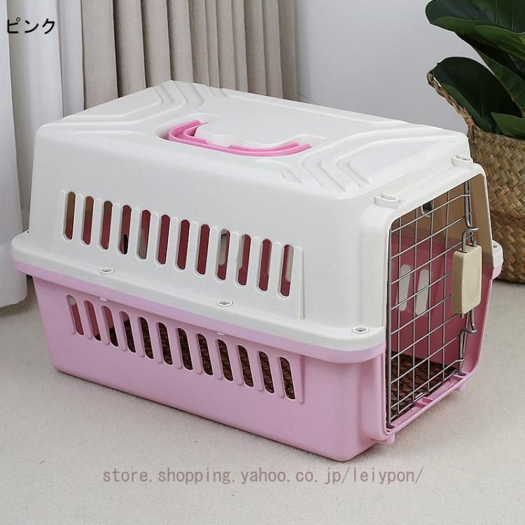犬 猫