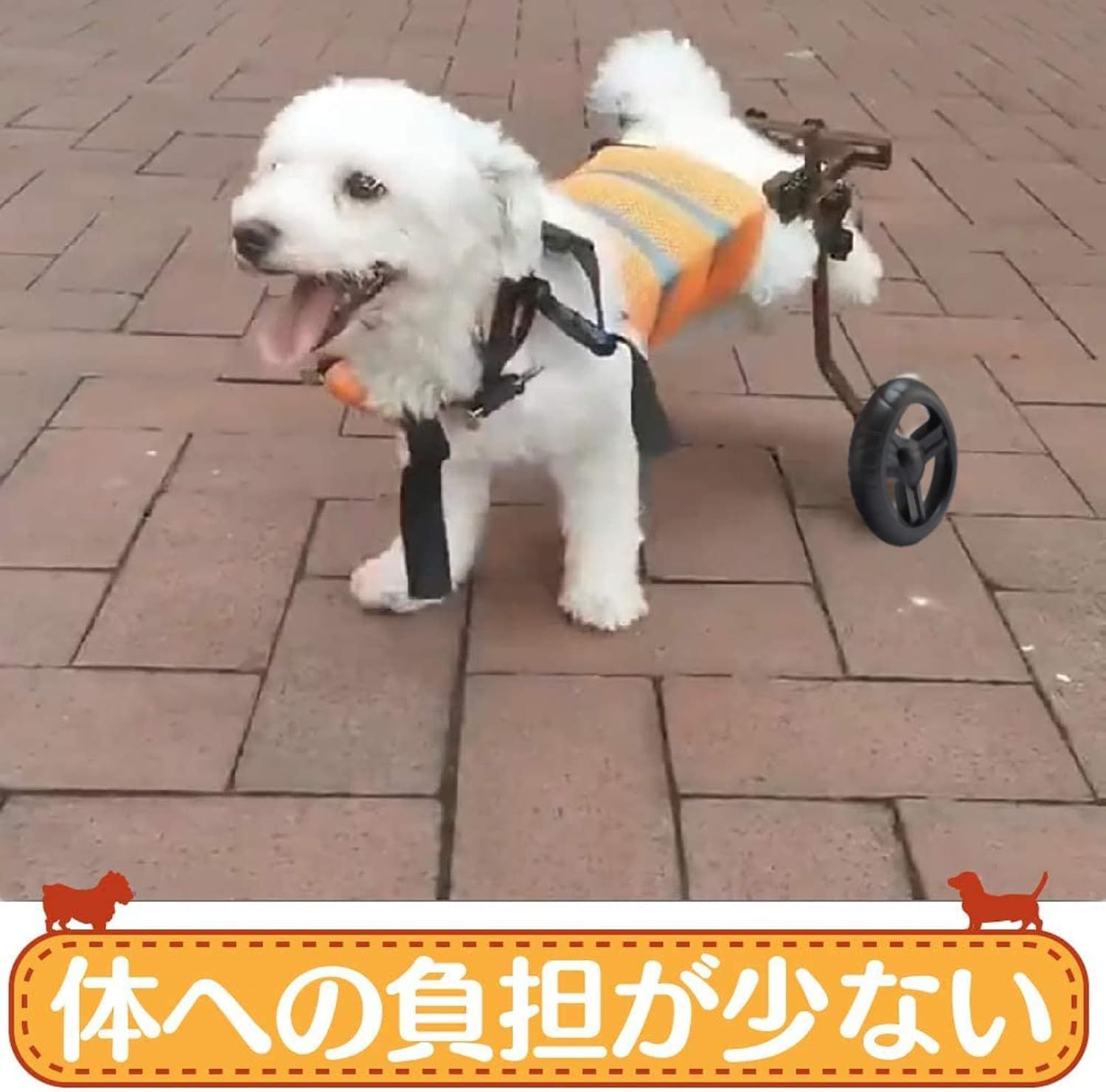 補助輪
