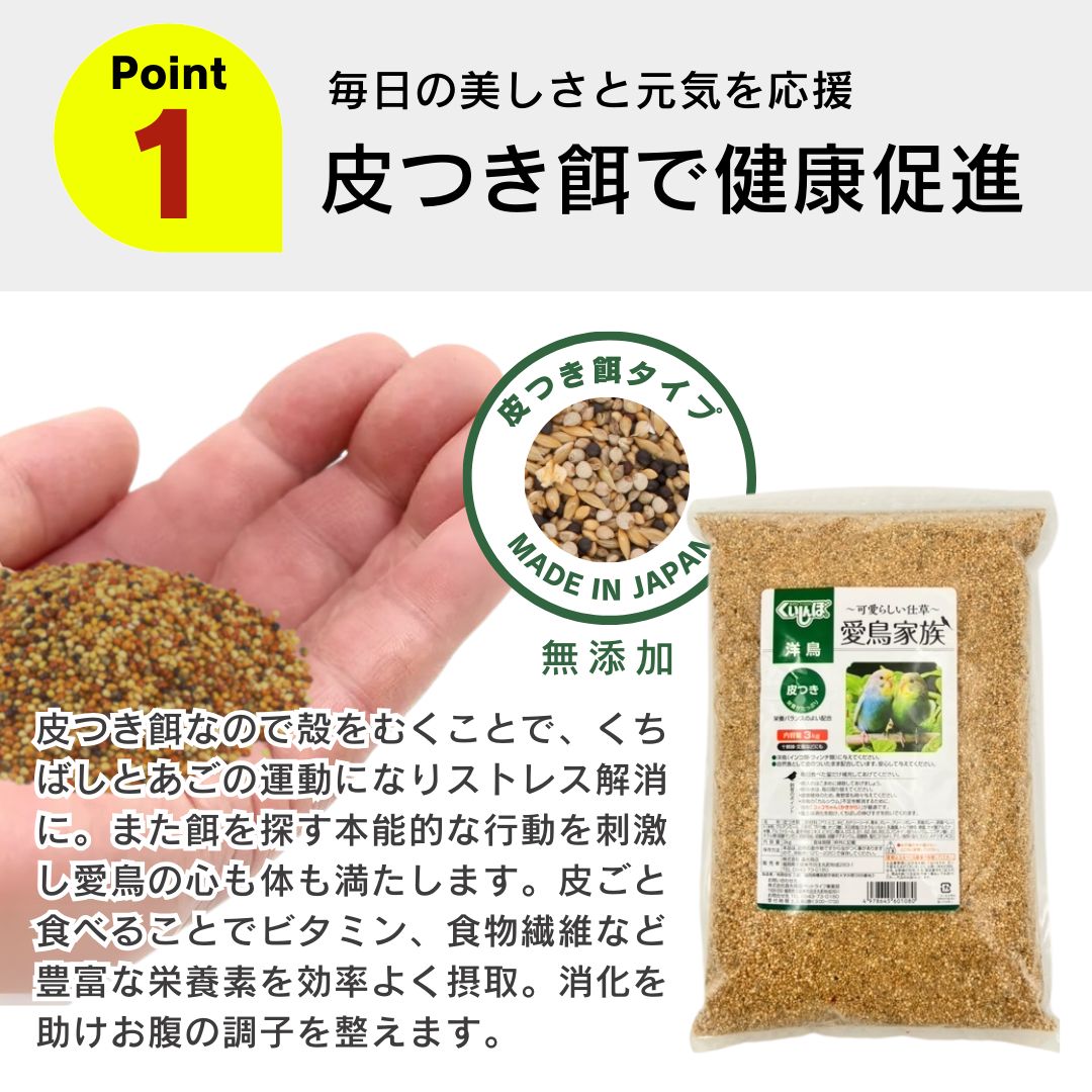 ウグイス メジロ