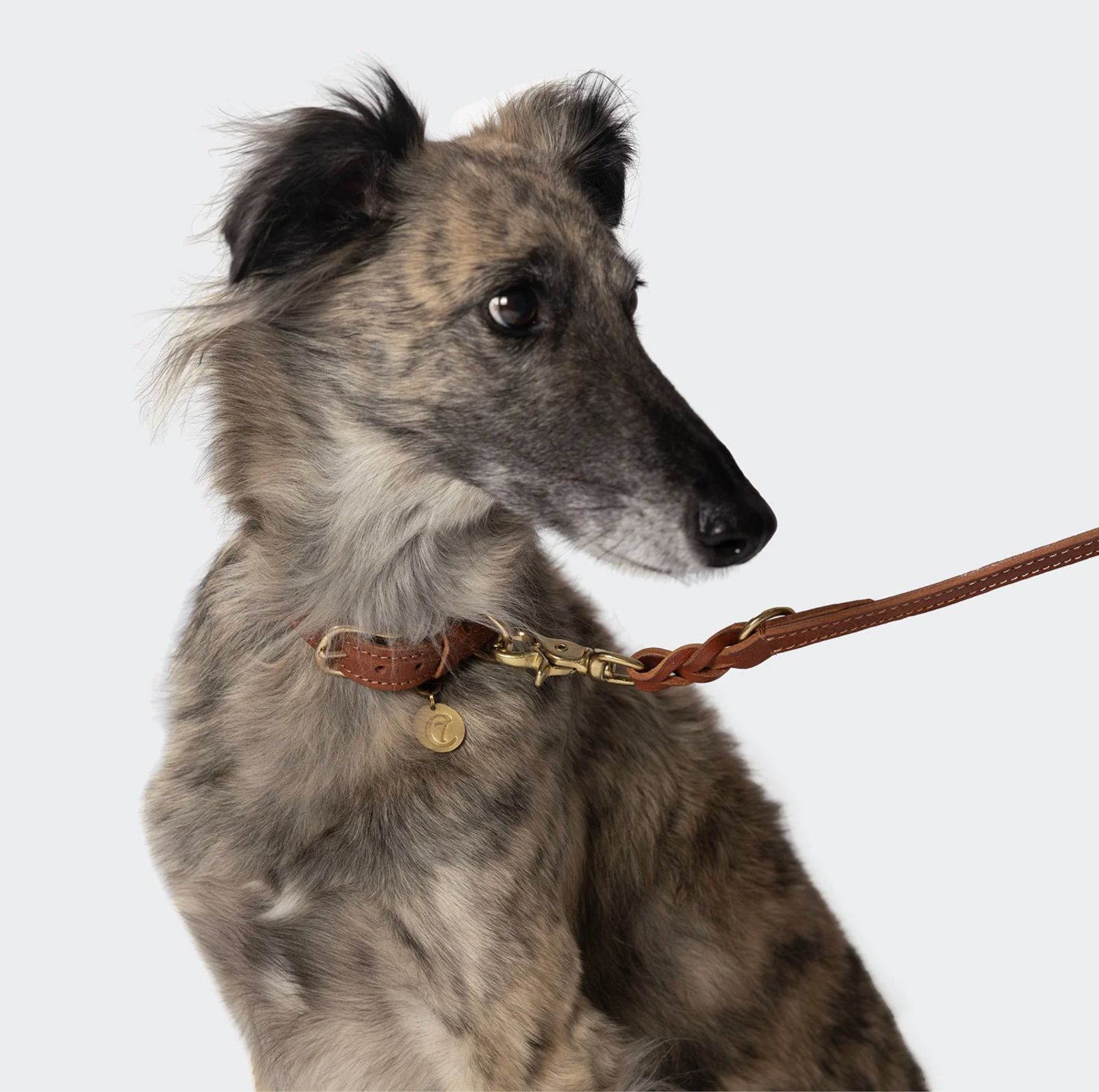 店頭見本品 Cloud7｜Dog Leash Hyde Park Cognac L ｜リード レザー 犬 小型犬 中型犬 海外直輸入 ペットグッズ