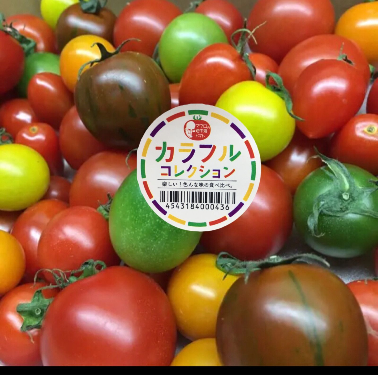 トマトの宝石箱🍅2㌔BOX❣️(カラフルトマト)全部で15種詰め合わせ！農家直送！フルーツトマト！