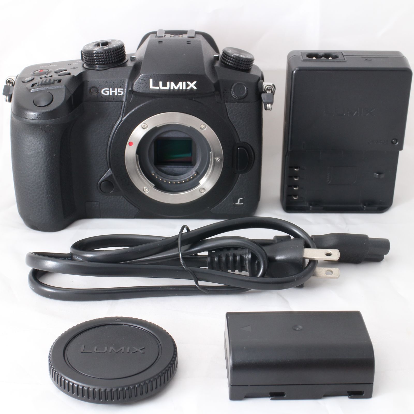 ☆良品・ショット数22490☆ Panasonic LUMIX GH5 ボディ