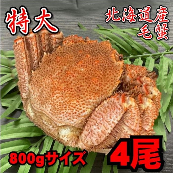 特大】毛蟹 4尾（800gサイズ） 北海道産 ボイル 付け足 冷凍 お中元