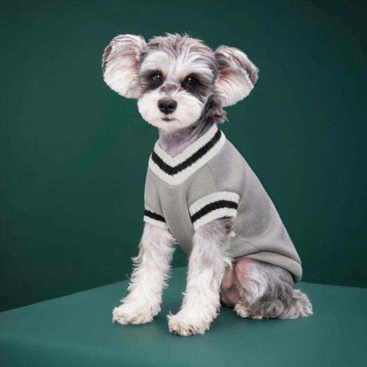 犬服 秋冬 セーター 犬 子犬 ニットセーター 暖かいかわいい グレー S 楽天市場】【クーポンで☆25%OFF】犬 冬服 犬服 セーター 暖かい