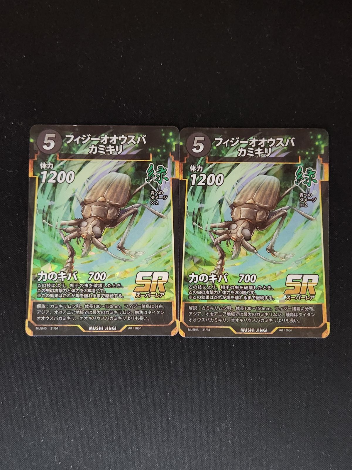 paradeshia　フィジーオオウスバカミキリ　標本　メス フィジーオオウスバカミキリ 2枚 蟲神器 - メルカリ