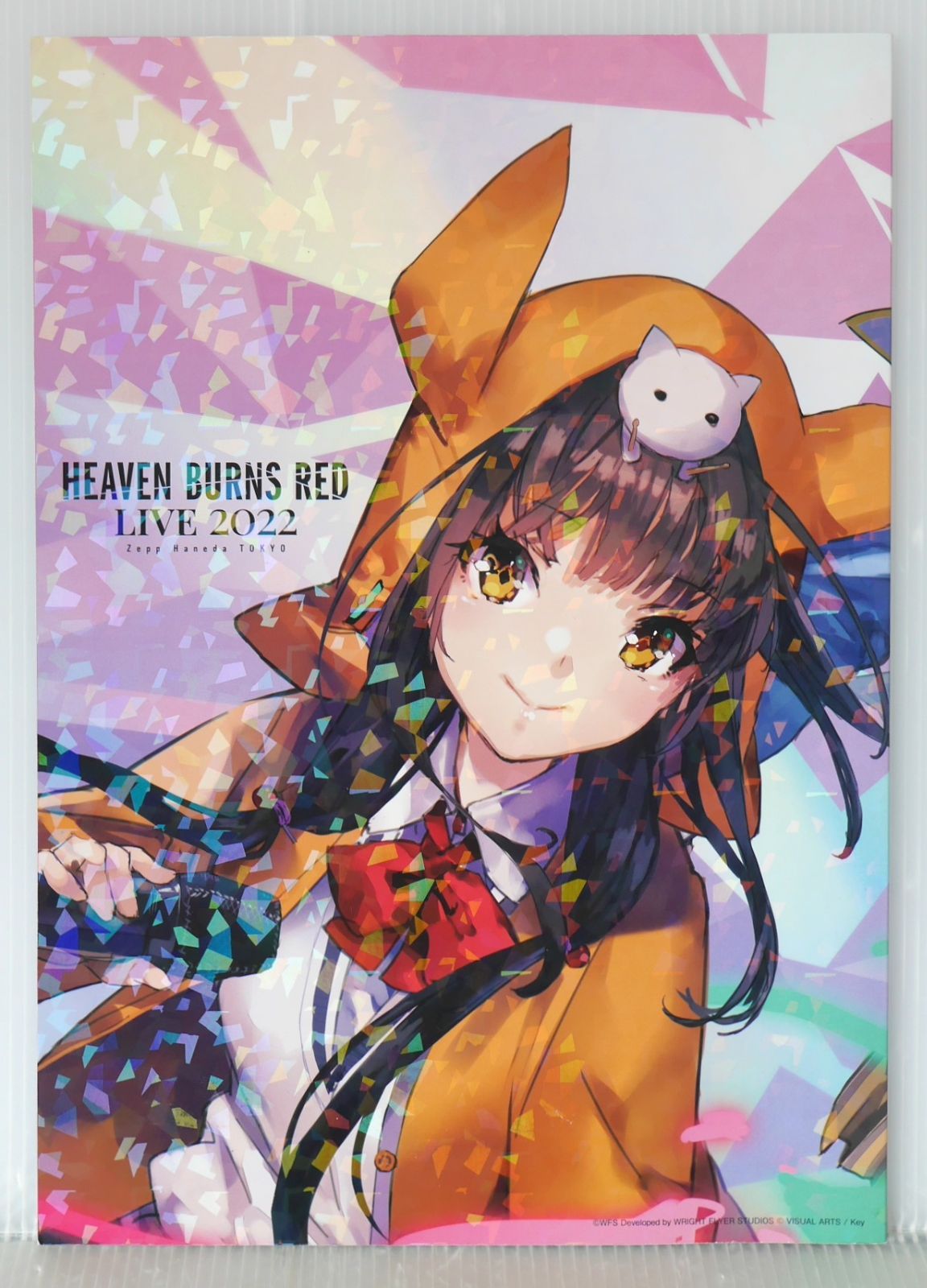 【即購入可】HEAVEN BURNS RED LIVEパンフレット3冊 ヘブンバーンズレッド ライブ2024 パンフレット - メルカリ