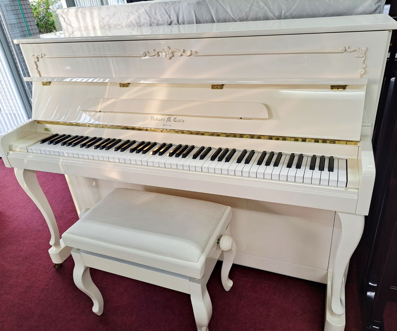 クリーニング済み 白い