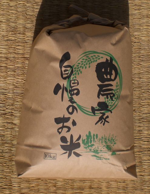 栃木米 コシヒカリ R7年産 玄米10kg 農家直送の自家米