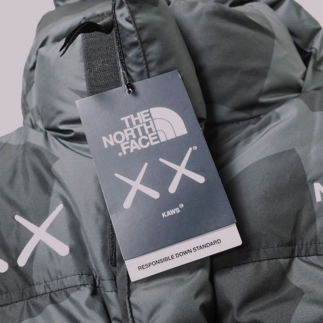 新品 THE NORTH FACE x KAWS ザ・ノースフェイス カウズ 22AW