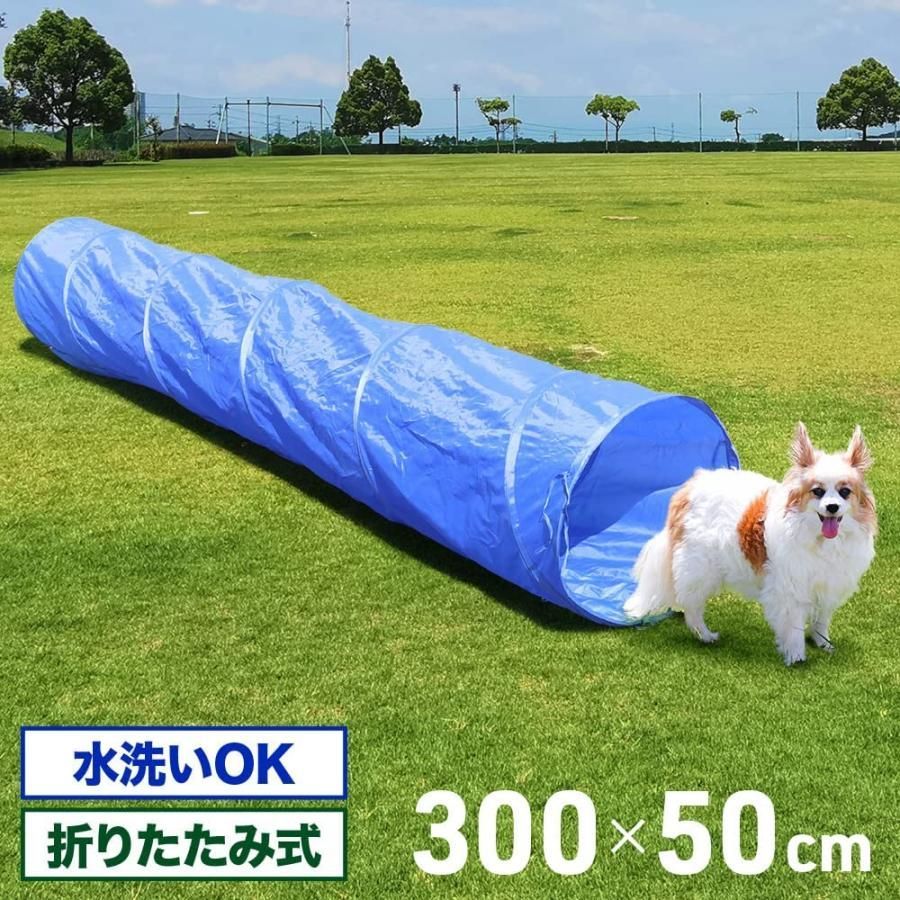 アジリティ 犬 トンネル 折りたたみ トレーニング 50×50×300cm ドッグアジリティ アジリティー ペットアジリティ ペットトンネル アジリティ機器  障害物 アジリティ犬 猫 アジリティグッズ LB-283 区分80S - メルカリ